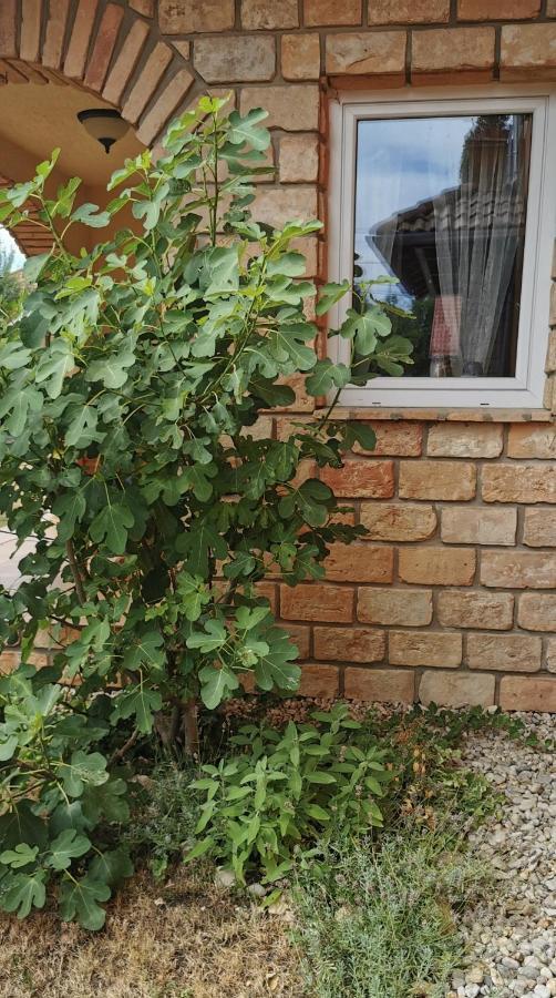 Mediterrania Apartment Кестхей Екстер'єр фото