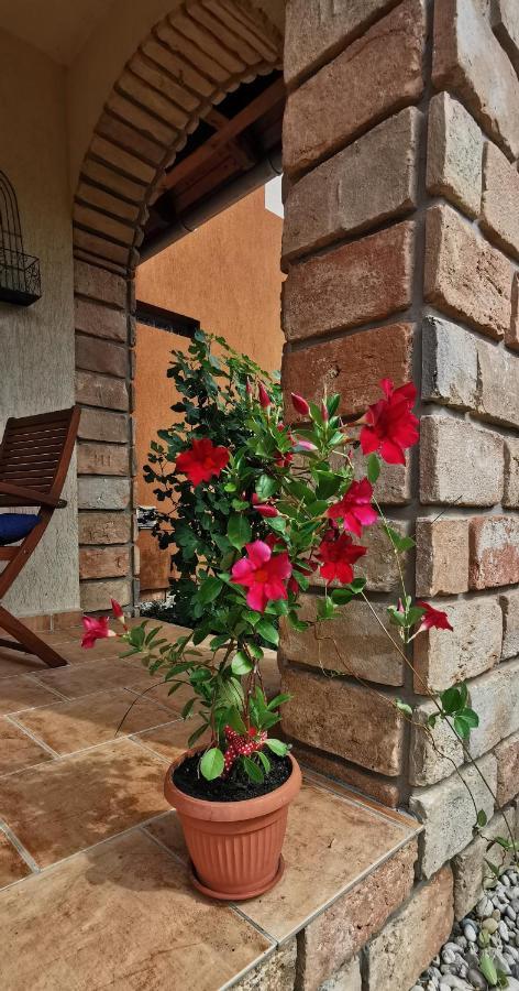 Mediterrania Apartment Кестхей Екстер'єр фото